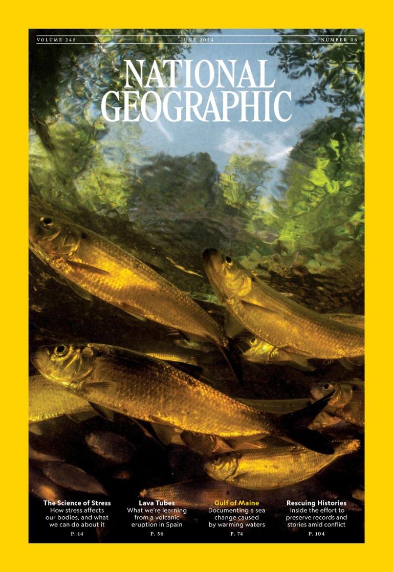 NATIONAL GEOGRAPHIC SUBSCRIPTION DISCOUNT CODE visual data 7