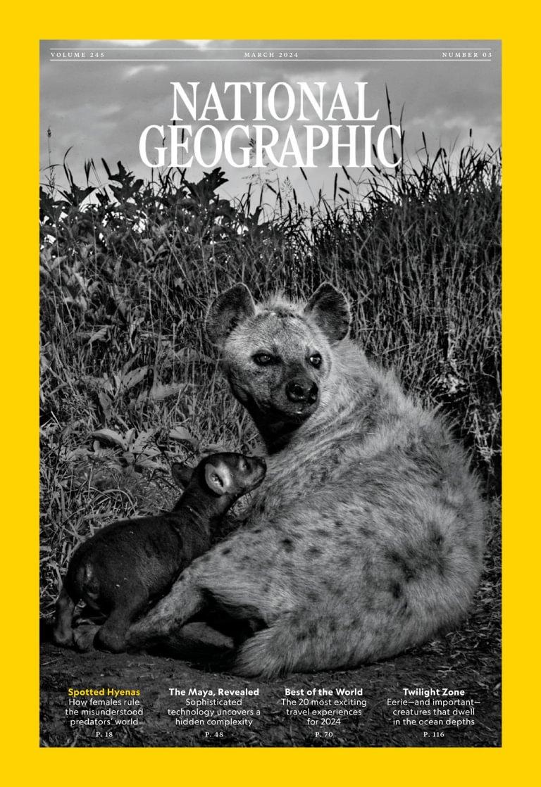 NATIONAL GEOGRAPHIC DISCOUNT CODE FIRST ORDER visual data 3