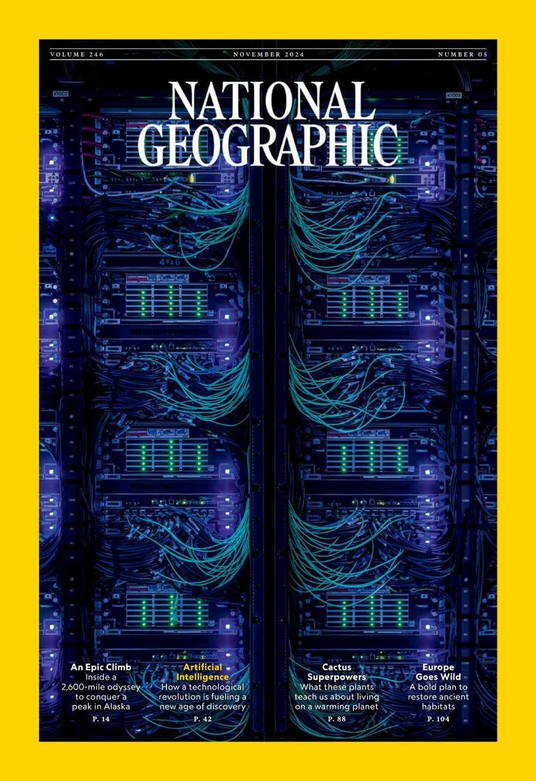 NATIONAL GEOGRAPHIC DISCOUNT CODE FIRST ORDER visual data 6