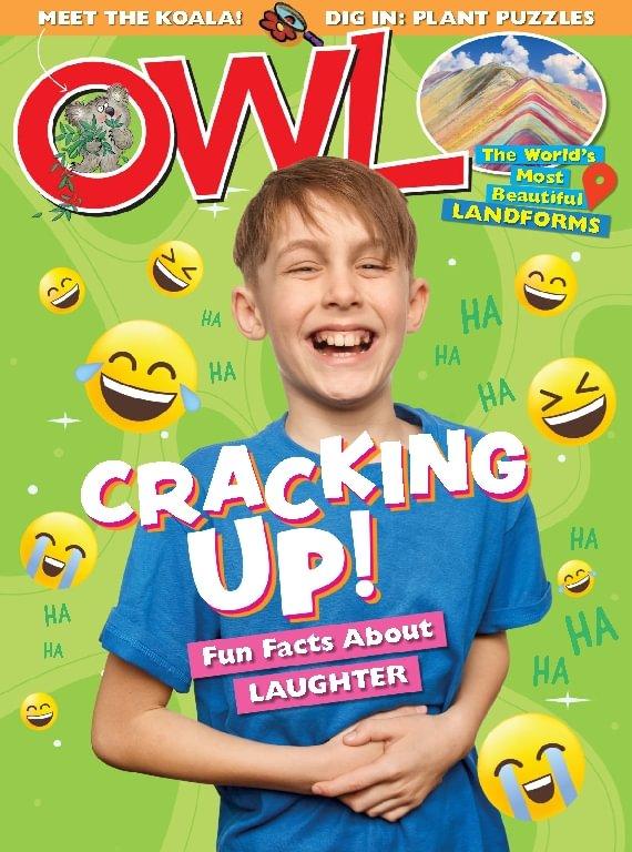 Owl (canada)