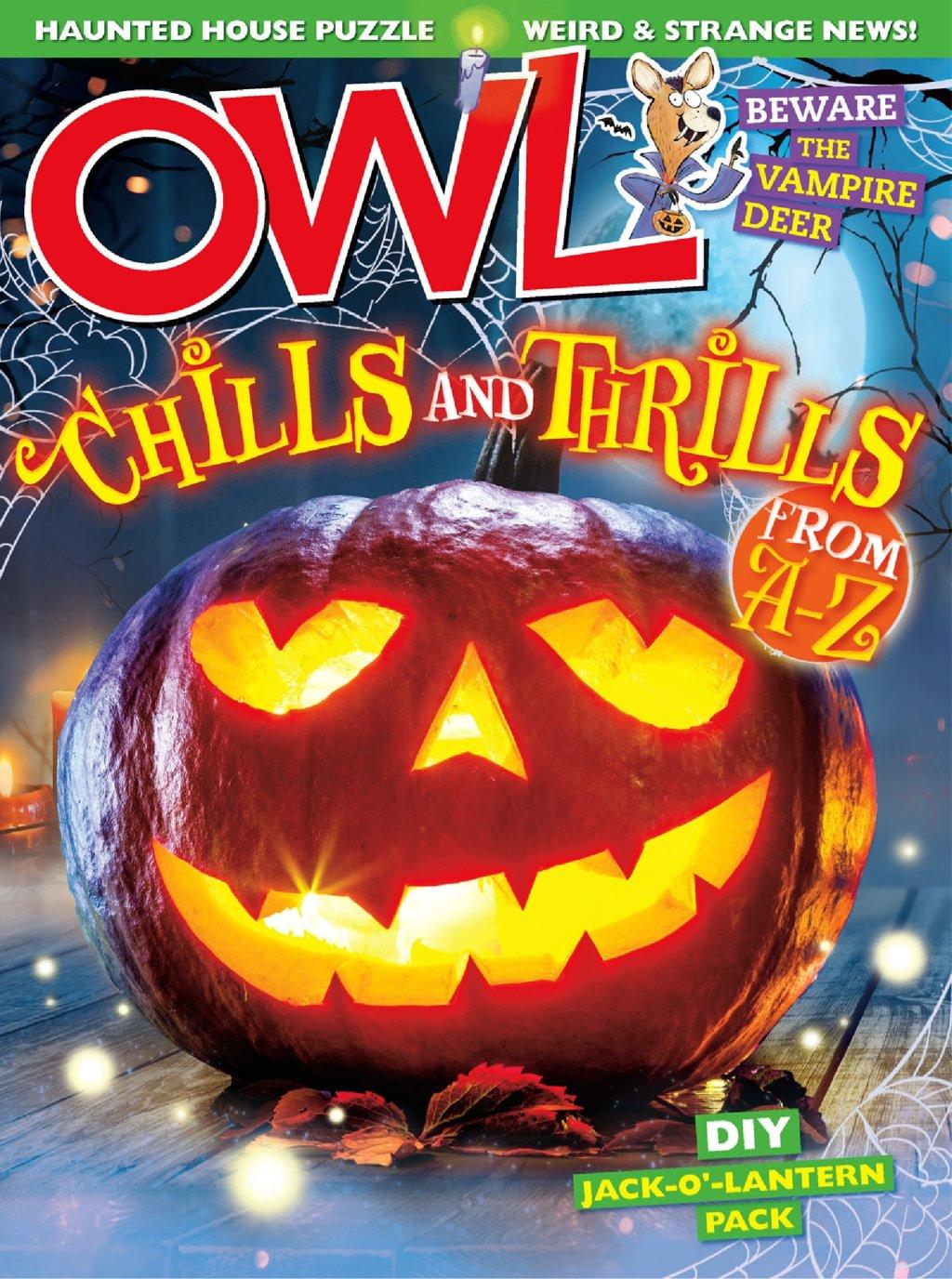 Owl