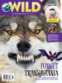 Wild Canada