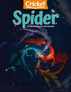 Spider Subscription