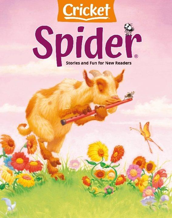 Spider
