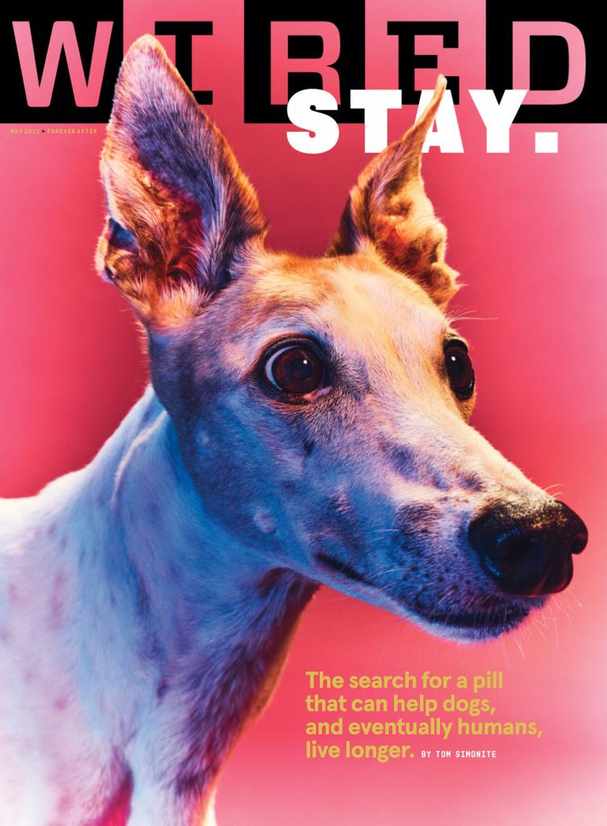 Cheap Magazine Subscriptions | The Best Discount Magazines ...