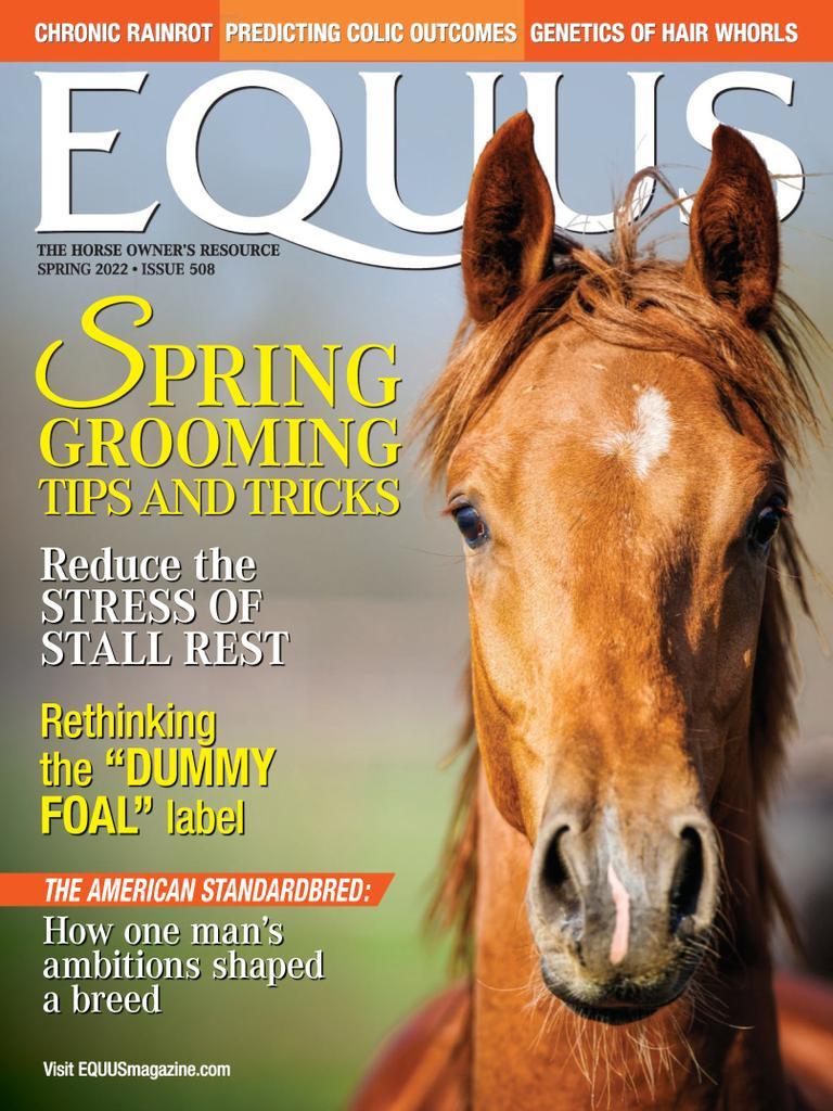 Equus Magazine Subscription Discount The Magazine for Horse Lovers