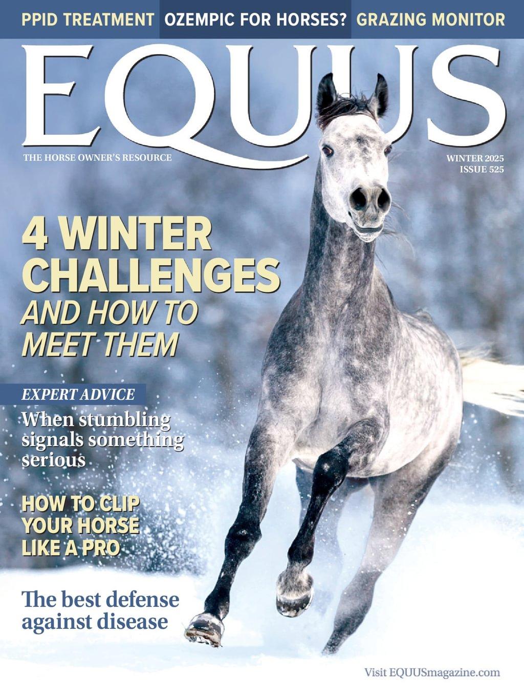 Equus