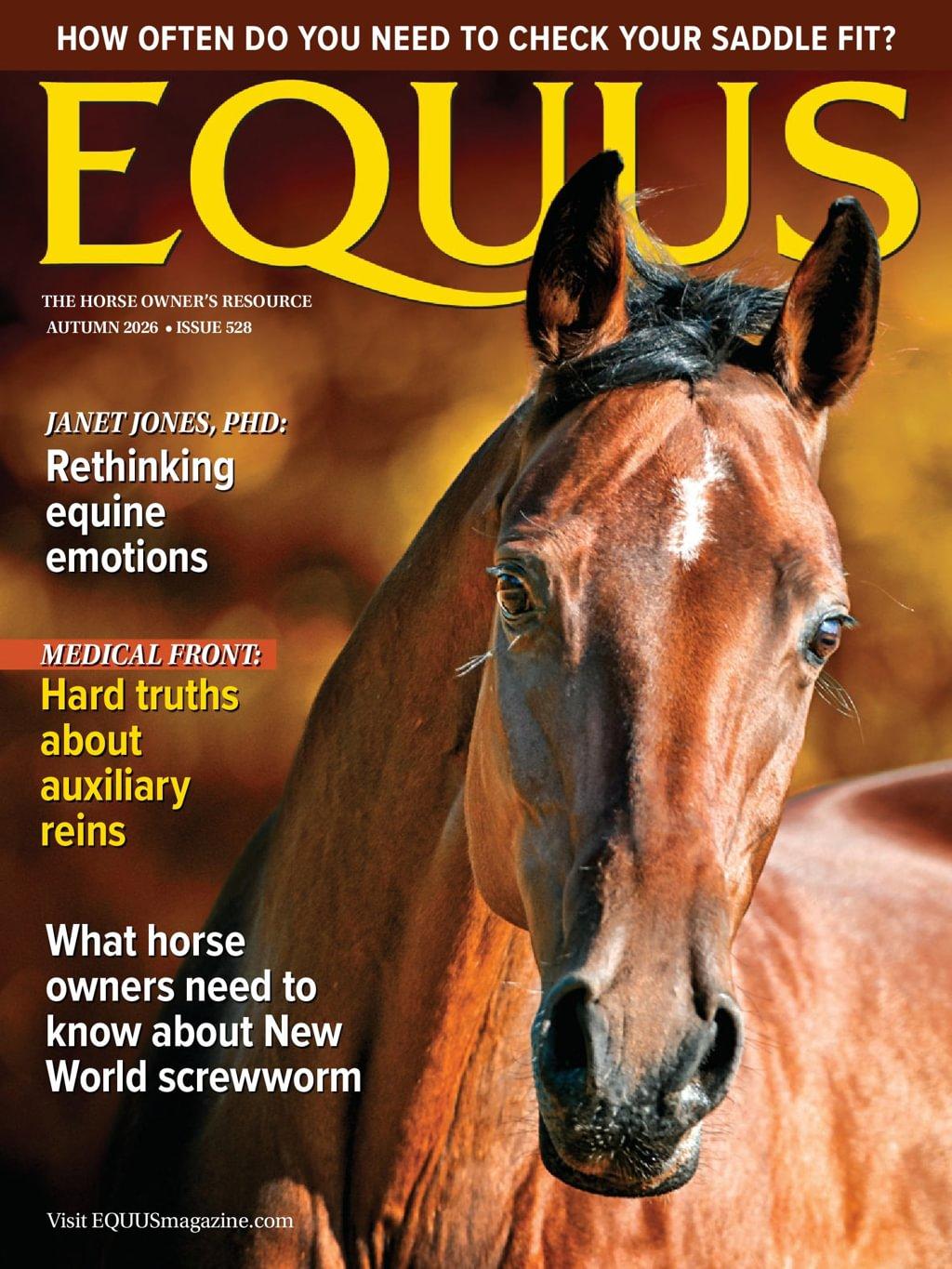 Equus