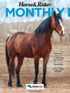 Horse & Rider Subscription