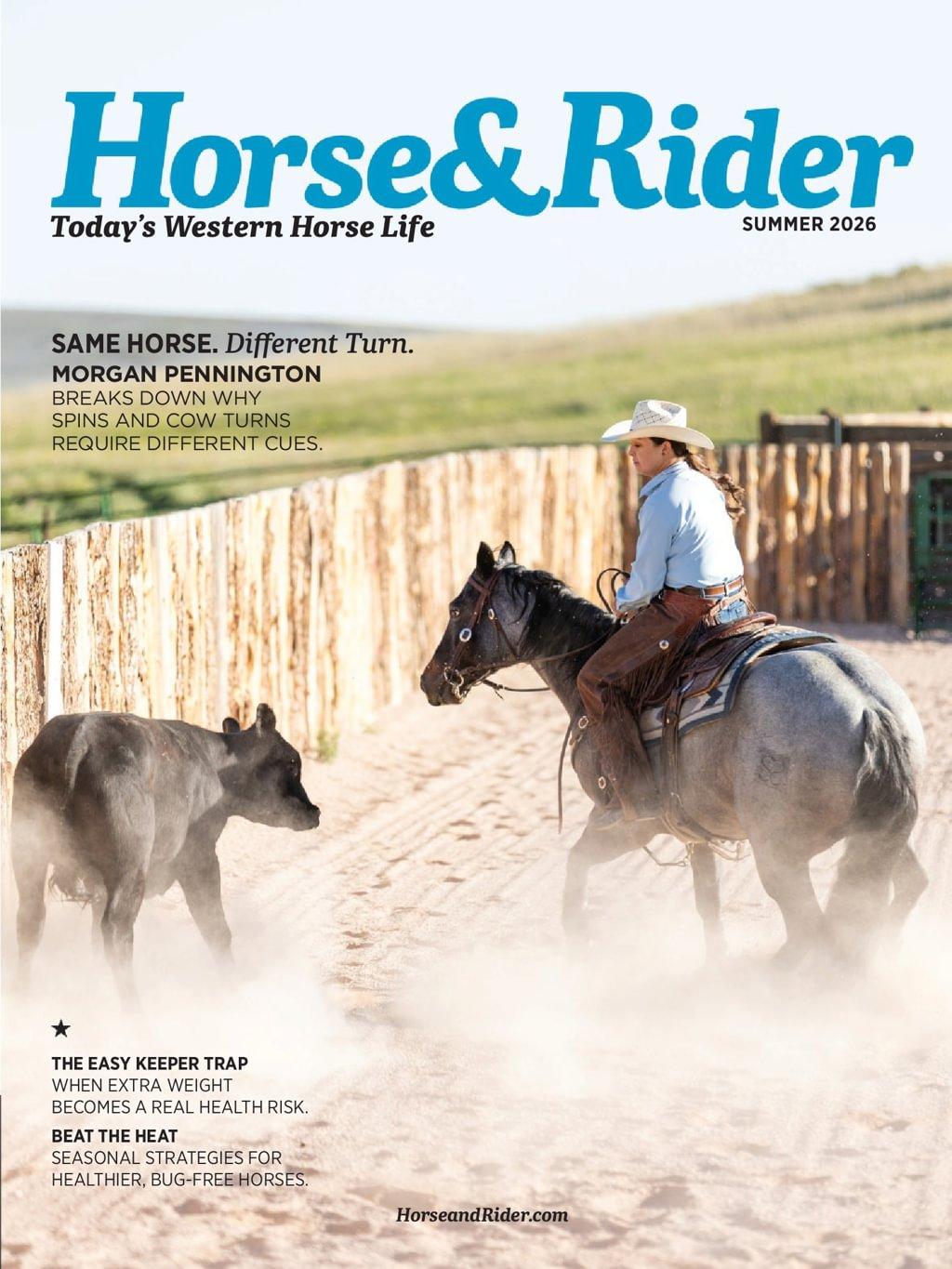 Horse & Rider
