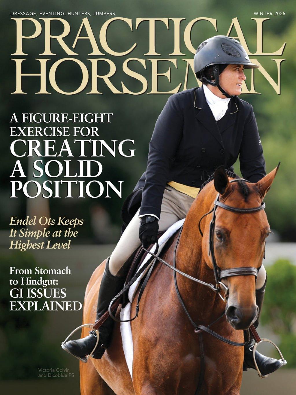 Practical Horseman