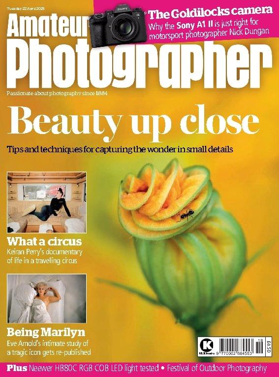 Amateur Photographer (Digital) product thumbnail