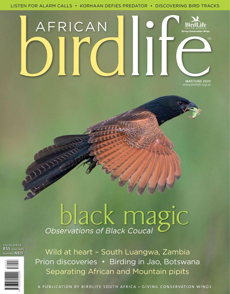 African Birdlife (Digital)