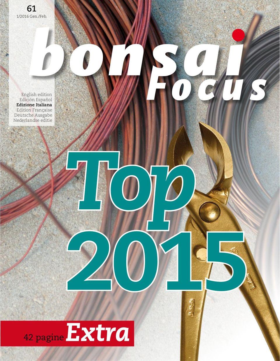 Bonsai Focus  IT (Digital) product thumbnail