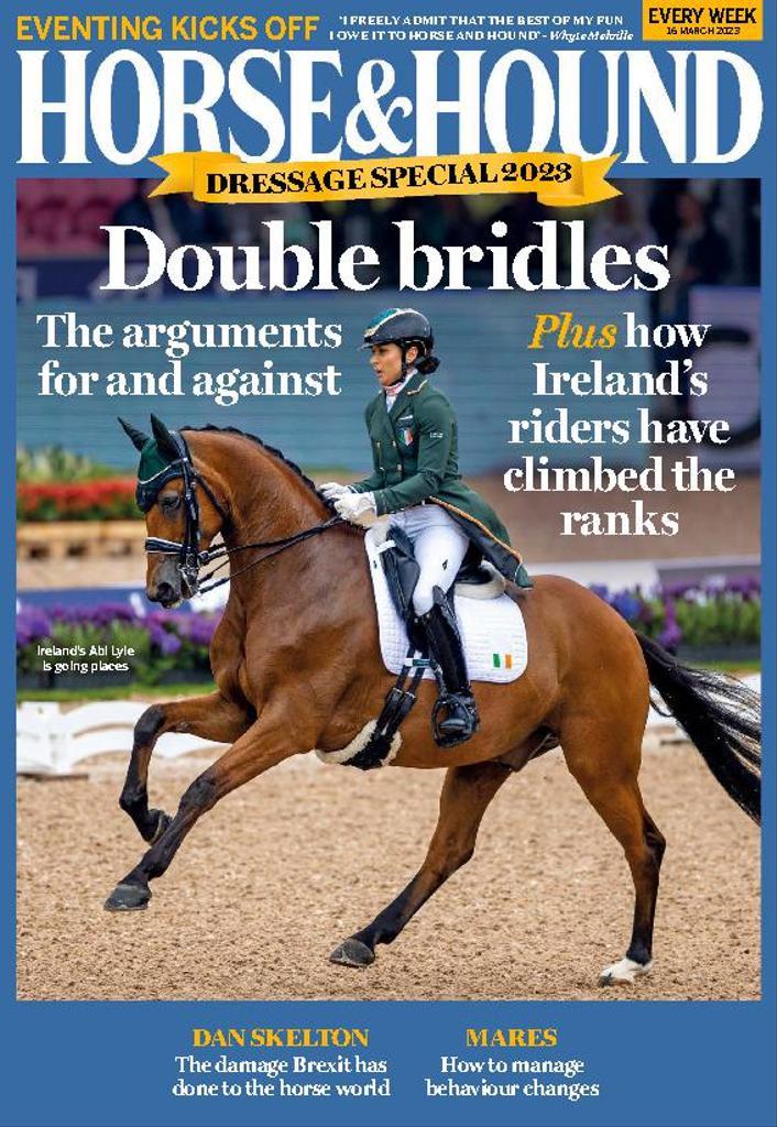 Horse Hound 16 Mar 2023 high-quality Digital