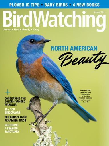 Birdwatching Magazine Subscription Discount