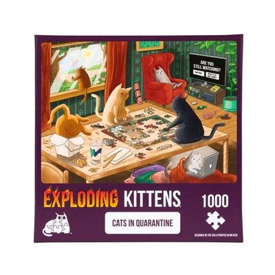 Cats in Quarantine (1000)