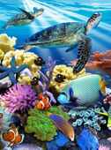 Ocean Turtles 200 Piece Puzzle