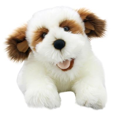 Playful Puppies: Brown & White Puppy