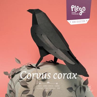 Raven - Corvus Corax - Paper Figure 3D