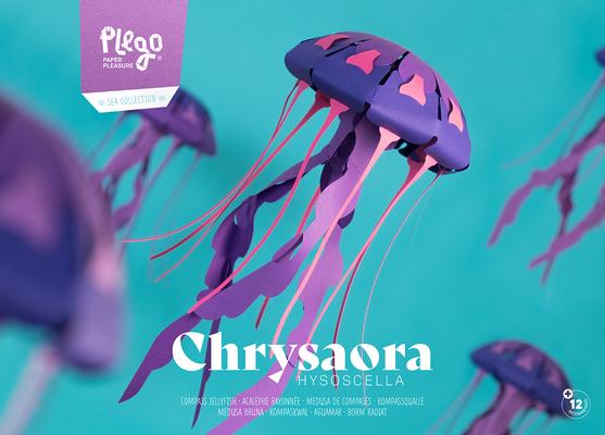 Jellyfish - Chrysaora Hysoscella - Paper Figure