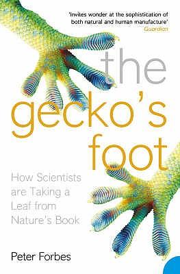 The Gecko's Foot: How Scientists are Taking a Leaf from Nature's Book