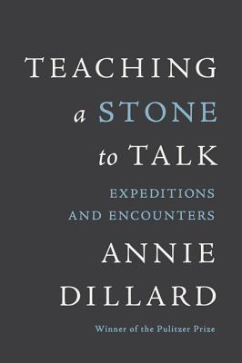 Teaching a Stone to Talk: Expeditions and Encounters