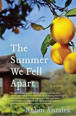 The Summer We Fell Apart