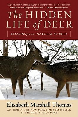 The Hidden Life of Deer: Lessons from the Natural World