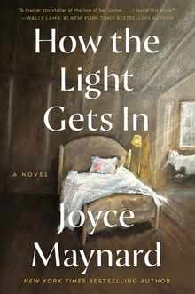 How the Light Gets in