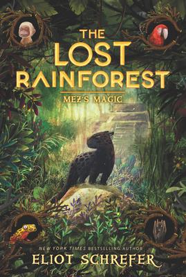 The Lost Rainforest: Mez's Magic