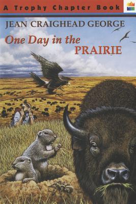 One Day in the Prairie