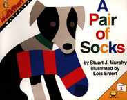 A Pair of Socks Subscription