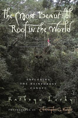 The Most Beautiful Roof in the World: Exploring the Rainforest Canopy