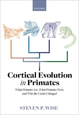 Cortical Evolution in Primates: What Primates Are, What Primates Were, and Why the Cortex Changed