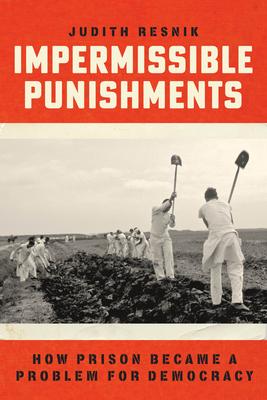 Impermissible Punishments: How Prison Became a Problem for Democracy Subscription