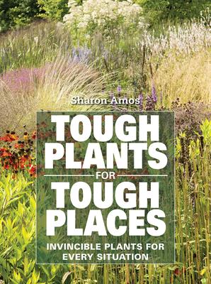 Tough Plants for Tough Places: Invincible Plants for Every Situation