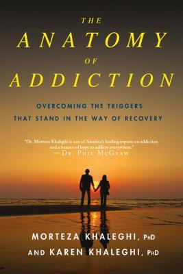 Anatomy of Addiction