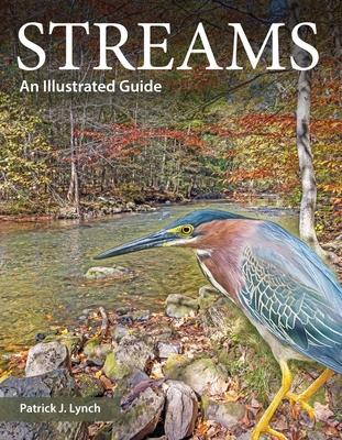 Streams: An Illustrated Guide