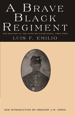 A Brave Black Regiment