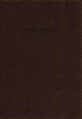 Foundation Study Bible-NIV