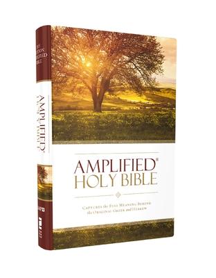 Amplified Bible-Am: Captures the Full Meaning Behind the Original Greek and Hebrew