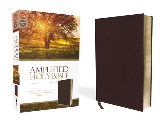 Amplified Bible-Am: Captures the Full Meaning Behind the Original Greek and Hebrew