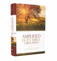 Amplified Bible-Am-Large Print: Captures the Full Meaning Behind the Original Greek and Hebrew Subscription