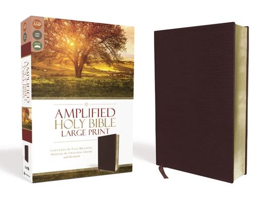 Amplified Bible-Am-Large Print: Captures the Full Meaning Behind the Original Greek and Hebrew