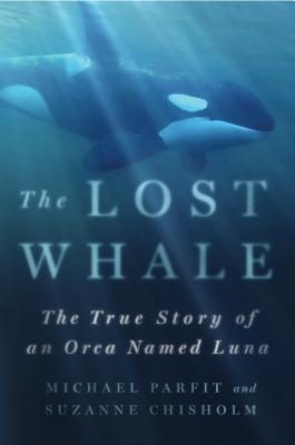 Lost Whale