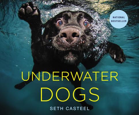 Underwater Dogs