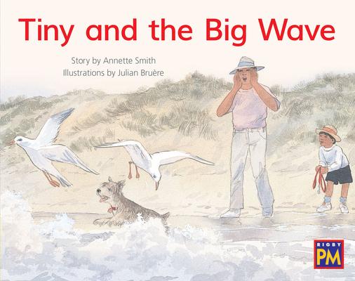 Leveled Reader Yellow Fiction Level 8 Grade 1: Tiny and the Big Wave