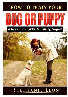 How to Train Your Dog or Puppy: 4 Weeks Tips, Tricks, & Training Program