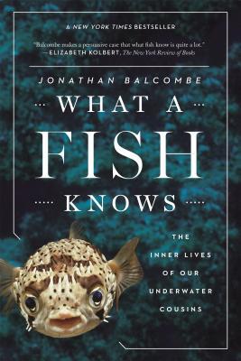 What a Fish Knows: The Inner Lives of Our Underwater Cousins